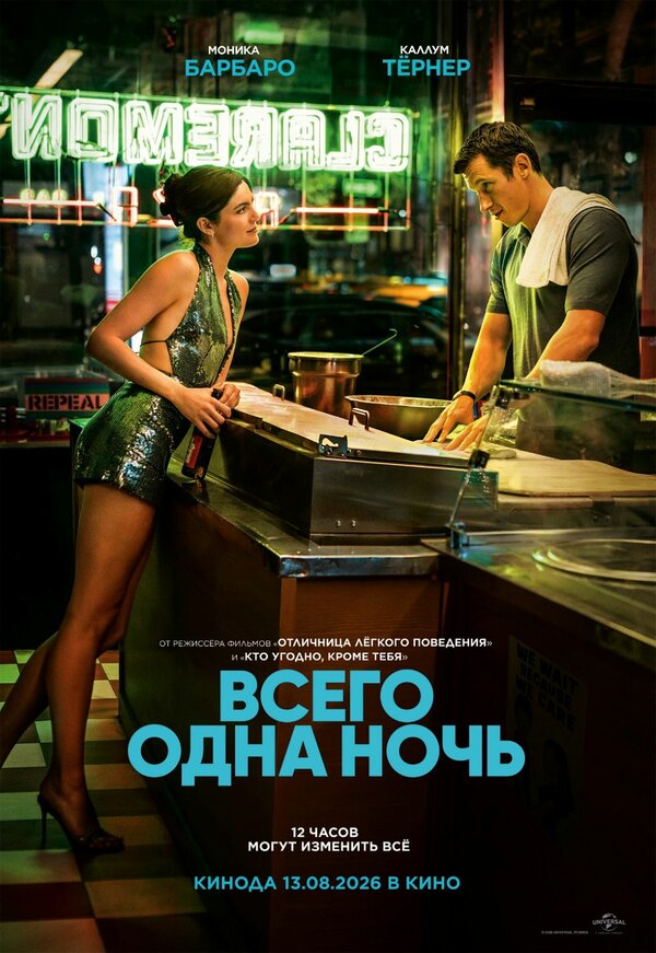 Всего одна ночь постер